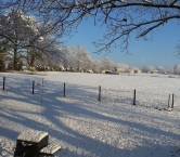 Winter in Alabama - Kathleen M