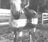 Pony ridin - 1962