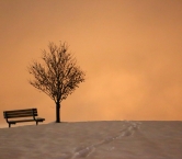 Bench - Debbie Ashcraft