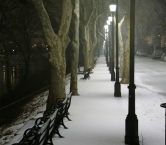 Riverside Dr. Walkway - Debbie Ashcraft