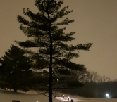 Snow scene - Debbie Ashcraft