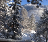Winter in Colorado - Carla & Karen