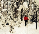 Snowshoeing 2014 - The Reeds