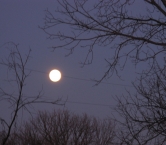 Winter Moon from Teresa M
