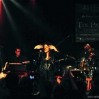 Tin Pan South